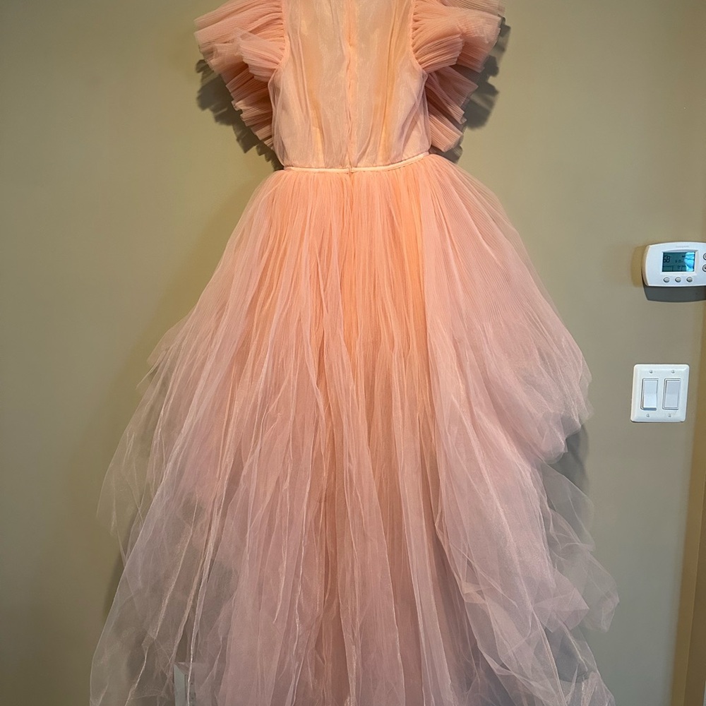 GIAMBATTISTA VALLI X H&M PEACH TULLE GOWN SIZE 34 - Picture 5 of 9